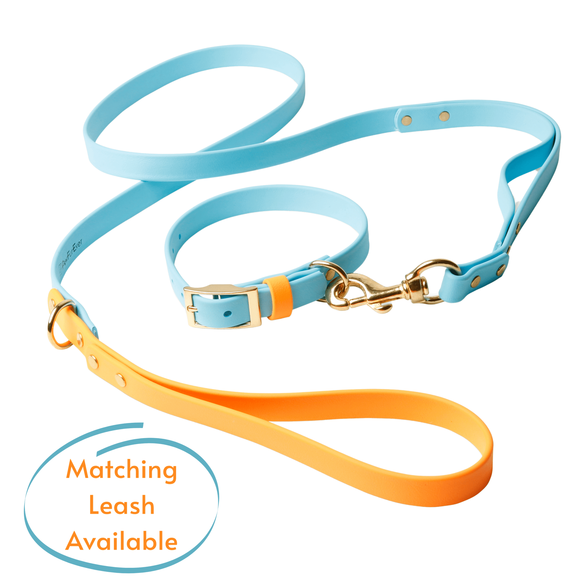 Collars - Biothane Dog Collars with Name Plate (Blue/Orange)