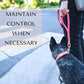 Collars - Biothane Waterproof Dog Collar - Stylish and Smell Free (Blue, White)