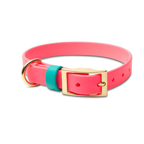 Waterproof Biothane Dog Collar in Pink & Teal