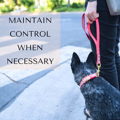 Collars - Pink Dog Collars - Waterproof, Stylish and Smell Free (Pink, Teal)