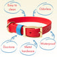 Collars - Waterproof Blue & Red Dog Collar - Stylish and Smell Free (Blue. Red)