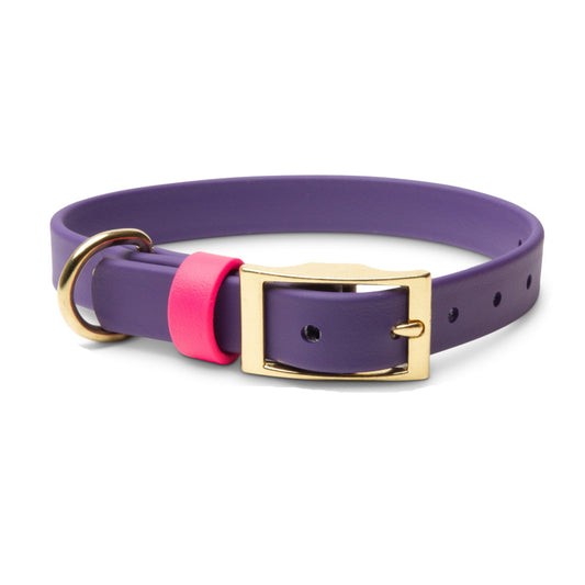 Collars - Waterproof Pink & Purple Dog Collar - Stylish and Smell Free (Purple, Pink)