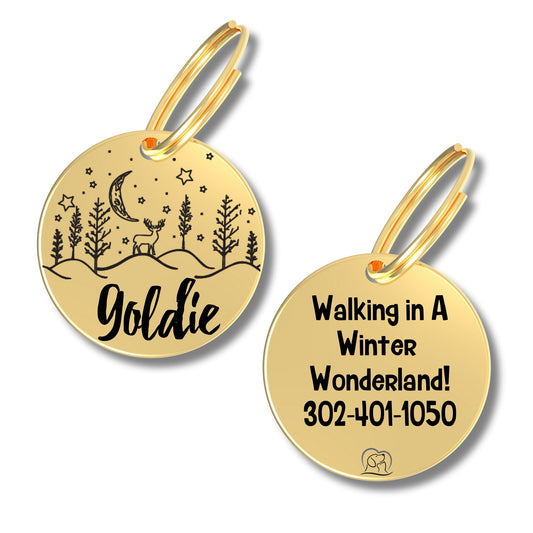 - Dog Christmas Tags (Rudy)