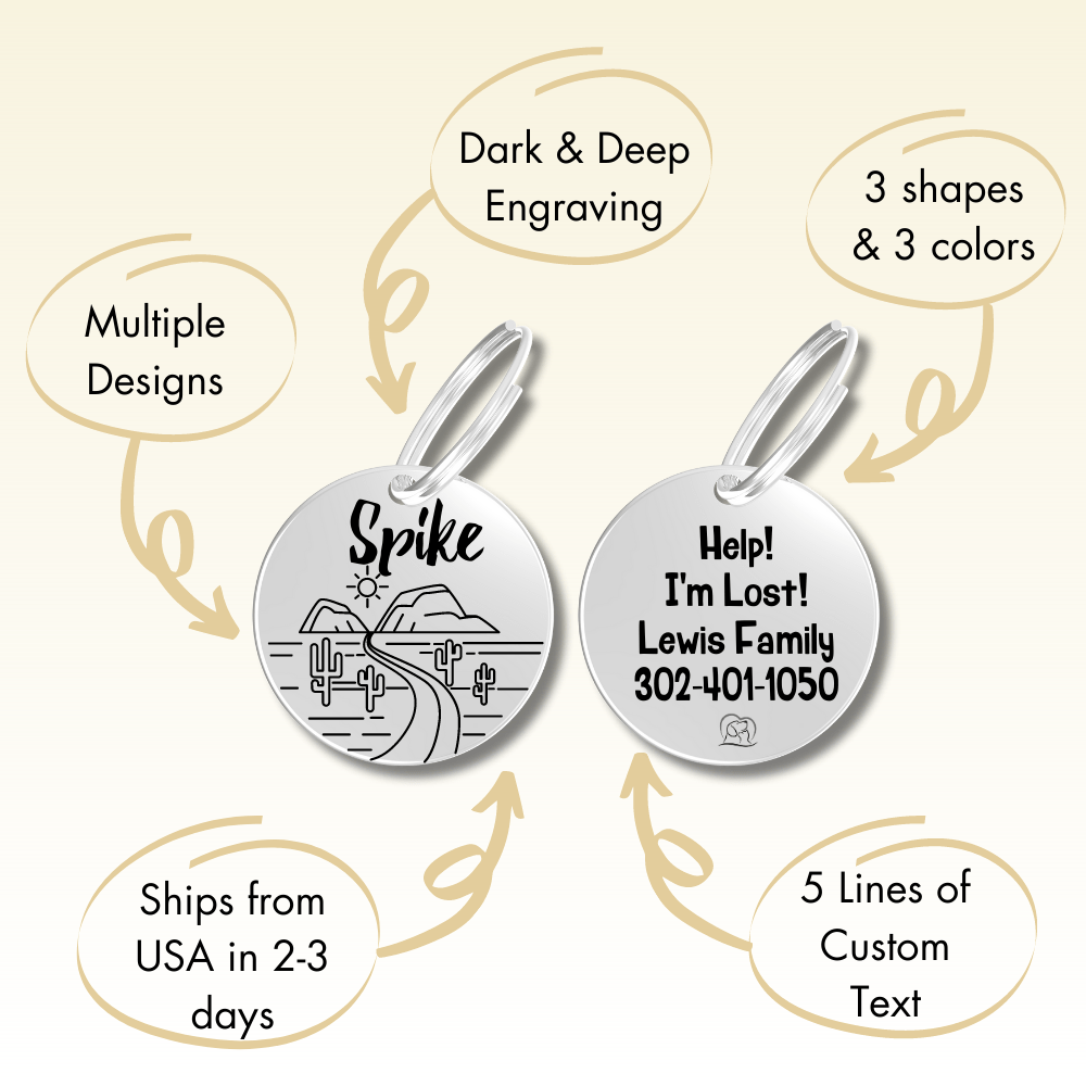 Engraved Tags - Customized Dog Tags for Pet Safety and Style (Circle, Silver)