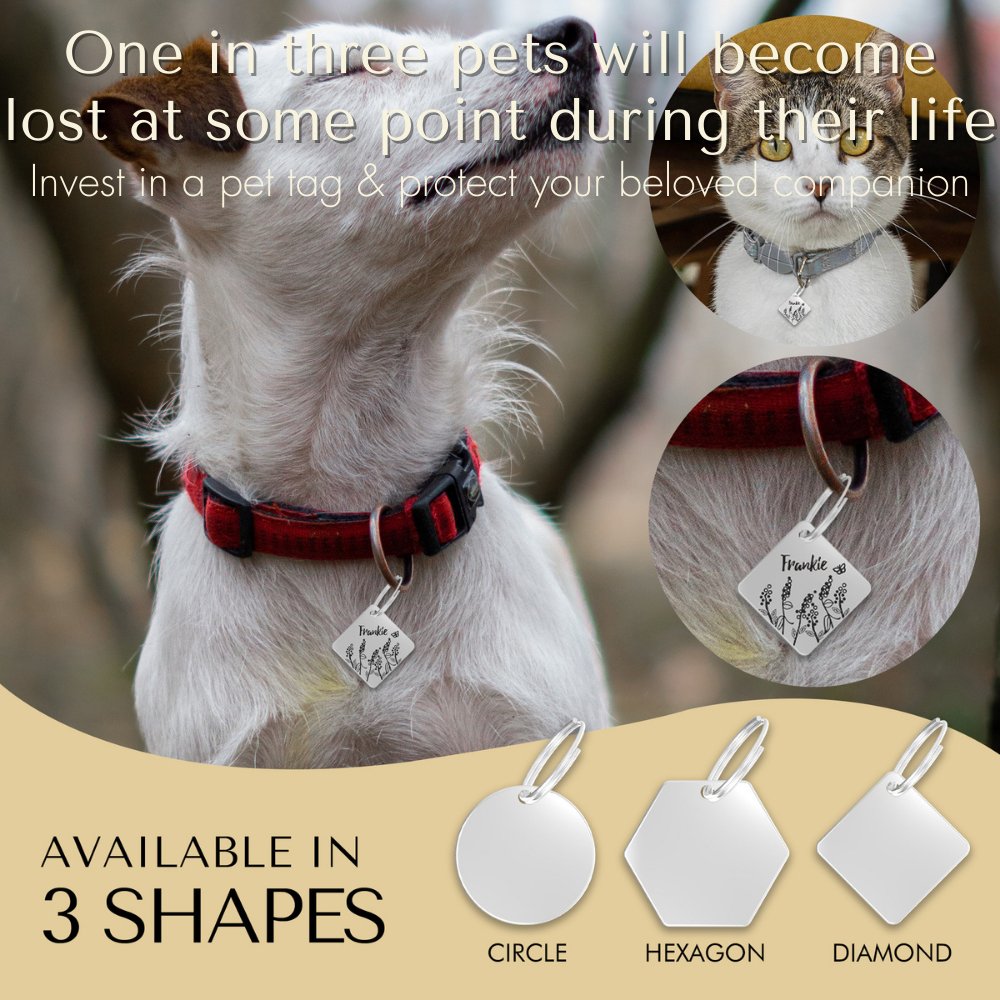 Engraved Tags - Personalized Engraved Dog Tags for Pet Safety and Style (Diamond, Silver)