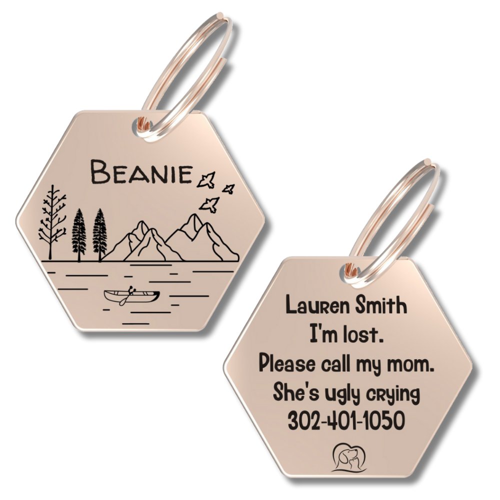 Engraved Tags - Personalized Engraved Dog Tags for Pet Safety and Style (Hexagon, Rose Gold)