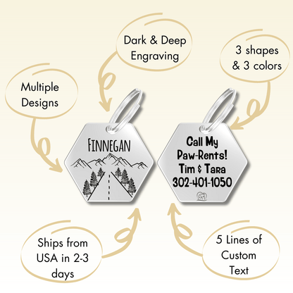Engraved Tags - Personalized Engraved Dog Tags for Pet Safety and Style (Hexagon, Silver)