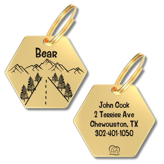 Engraved Tags - Personalized Engraved Gold Dog Tags for Pet Safety and Style (Hexagon, Gold)