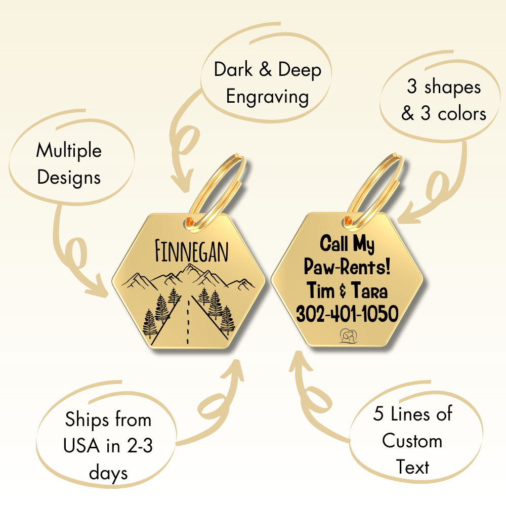 Engraved Tags - Personalized Engraved Gold Dog Tags for Pet Safety and Style (Hexagon, Gold)