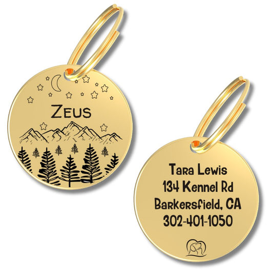 Engraved Tags - Personalized Engraved Golden Dog Tags for Pet Safety and Style (Circle, Gold)
