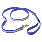 Reflective Waterproof Biothane Dog Leash in Blue