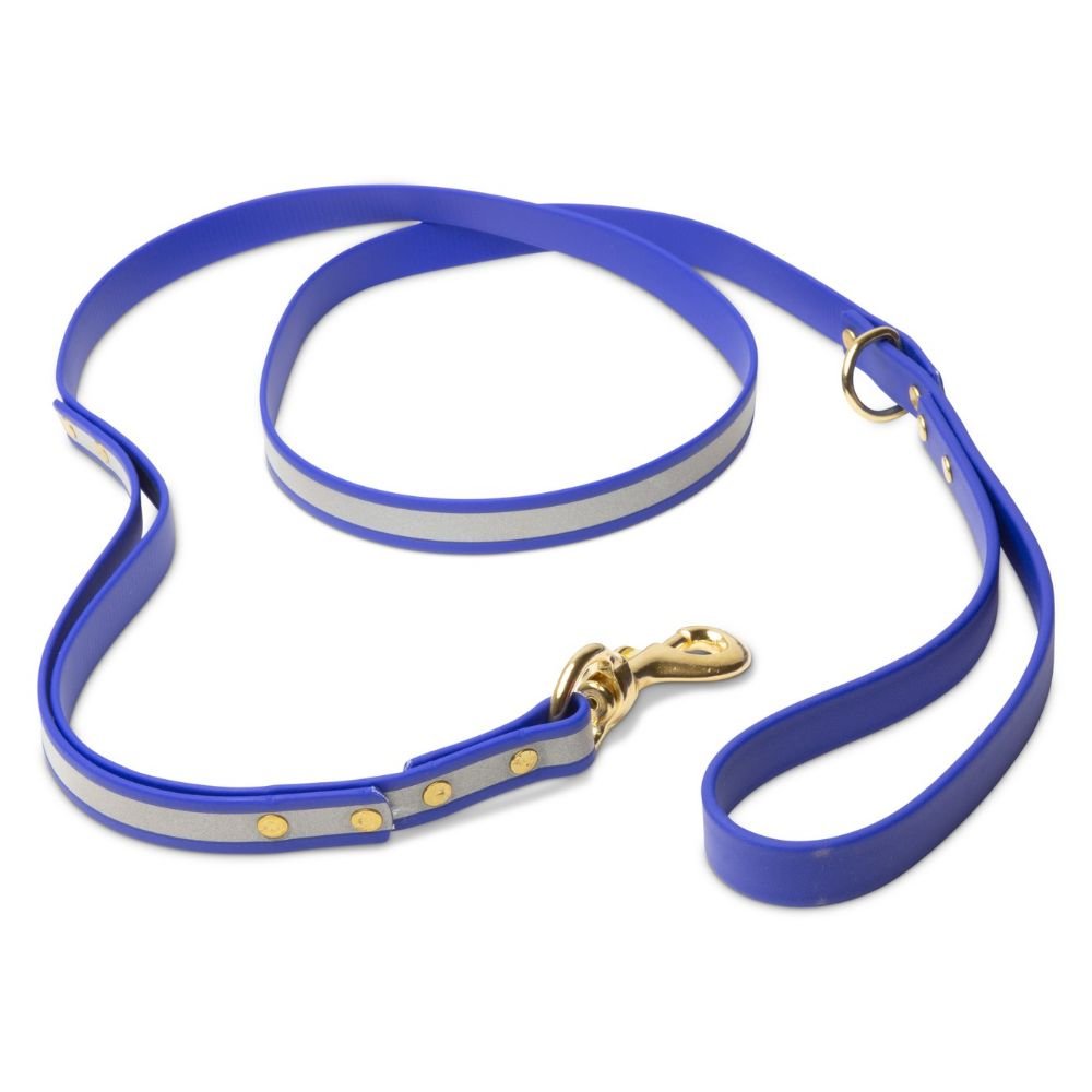 Leashes - Biothane Dog Leashes (Blue - Reflective)