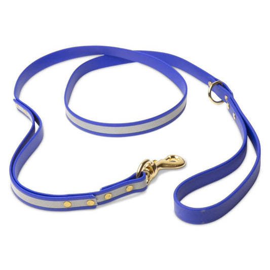 Leashes - Biothane Dog Leashes (Blue - Reflective)