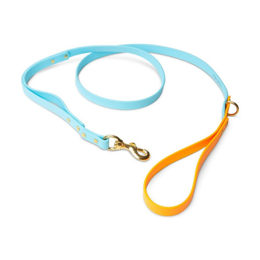 Leashes - Biothane Dog Leashes (Blue/Orange)