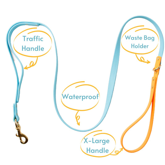 Leashes - Biothane Dog Leashes (Blue/Orange)