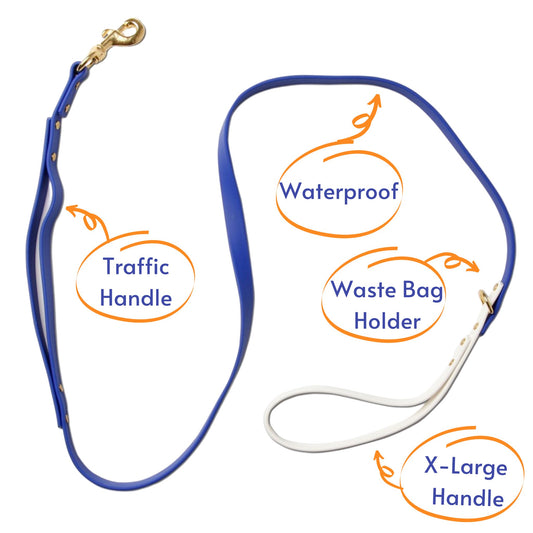 Leashes - Biothane Dog Leashes (Blue/White)
