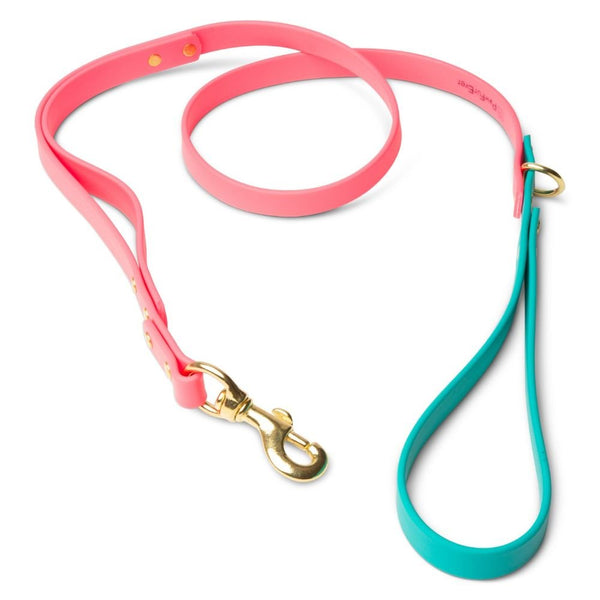 Waterproof Biothane Dog Leash in Pink & Teal