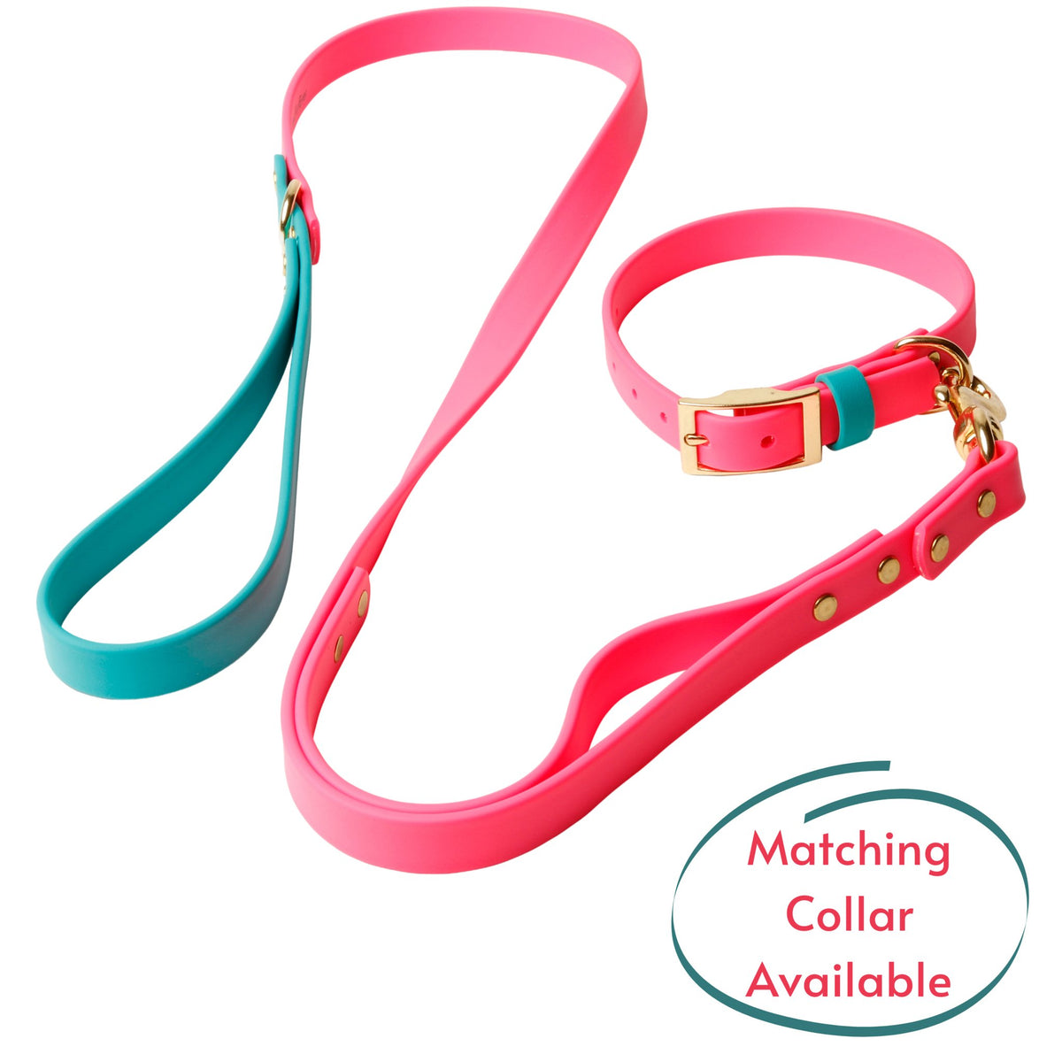 Leashes - Biothane Dog Leashes (Pink/Teal)