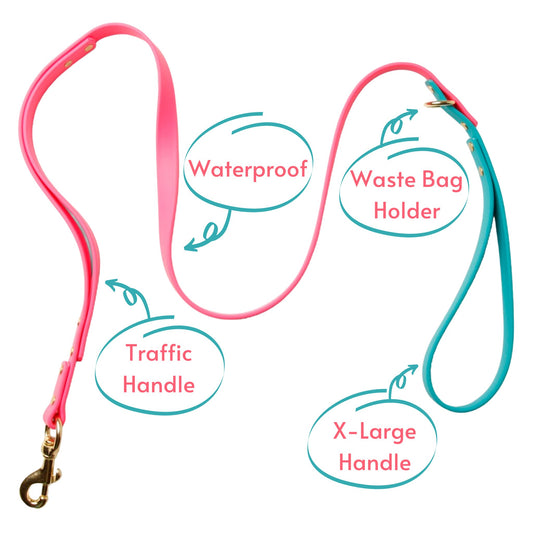 Leashes - Biothane Dog Leashes (Pink/Teal)