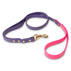 Waterproof Biothane Dog Leash in Purple & Pink