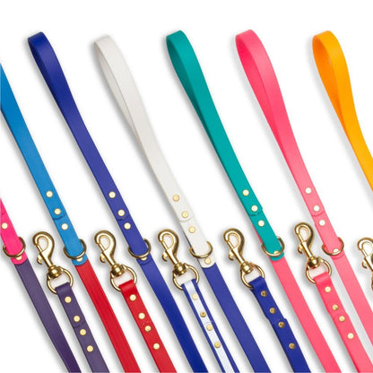 Leashes - Biothane Dog Leashes (Purple/Pink)