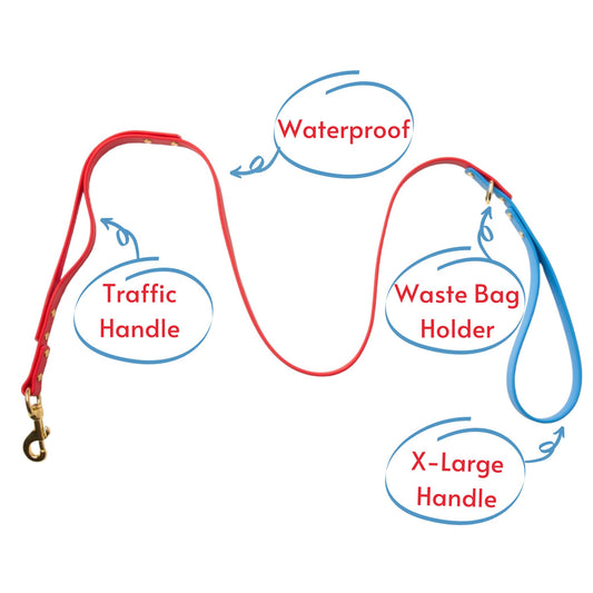 Leashes - Biothane Dog Leashes (Red/Blue)