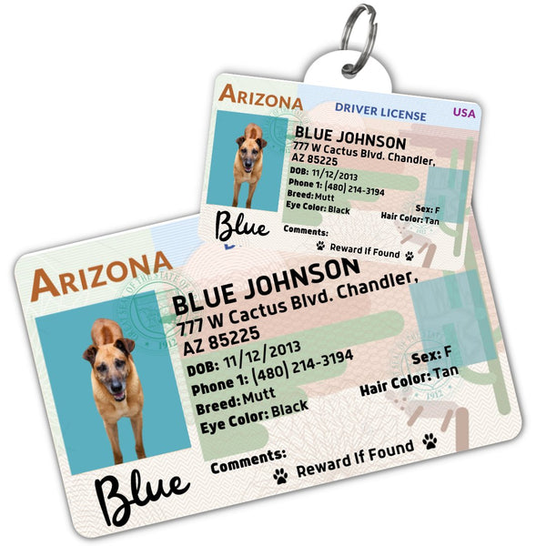 Dog driver's store licence tag