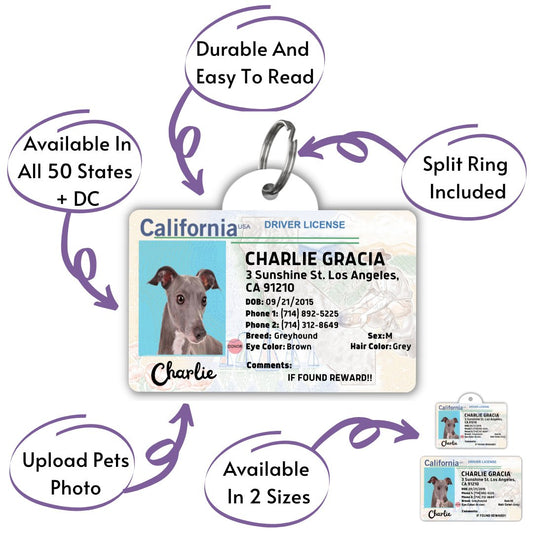 Silver Personalized Dog ID Tag - Kyleemae Designs – KyleeMae Designs