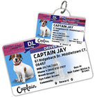 Connecticut Driver License Dog Tag with Your Pet's Photo