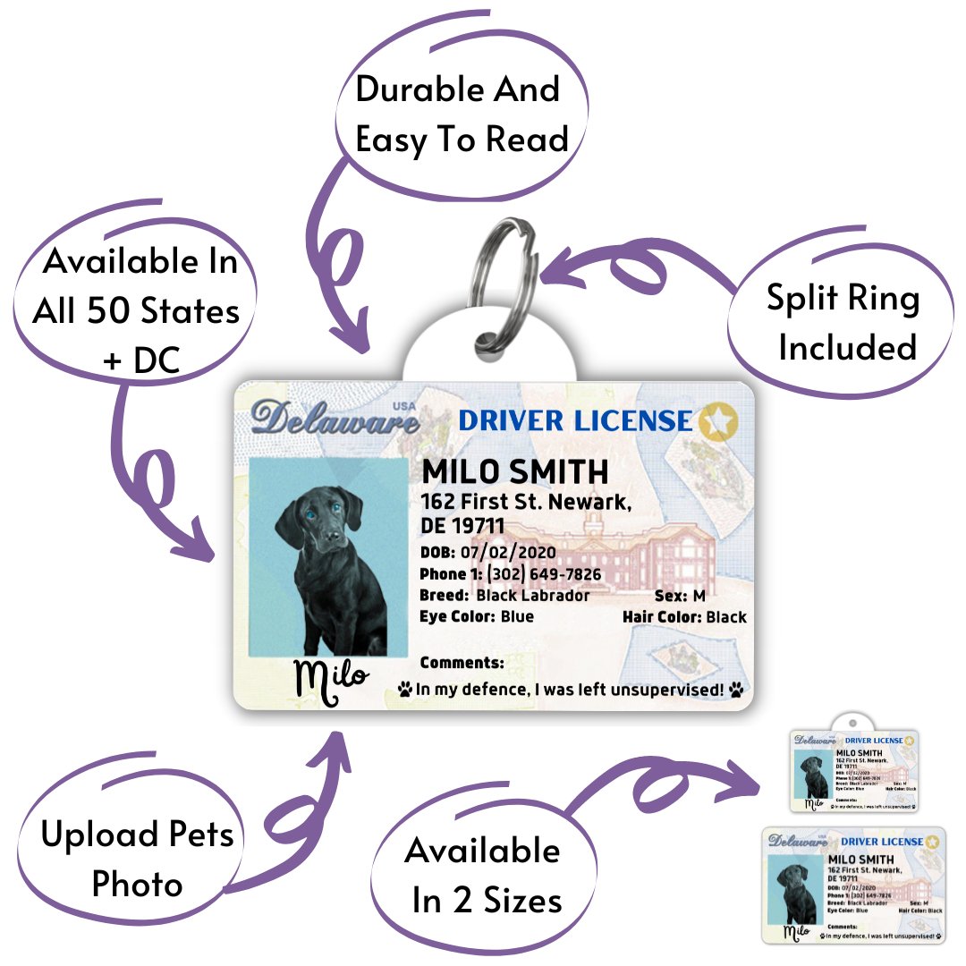 License Tag - License Tag (Delaware)