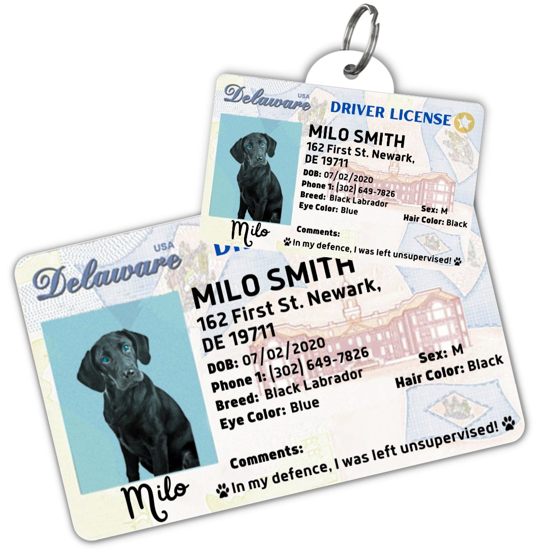 Delaware Dog License Tag – PawFurEver Engraved Custom Pet ID