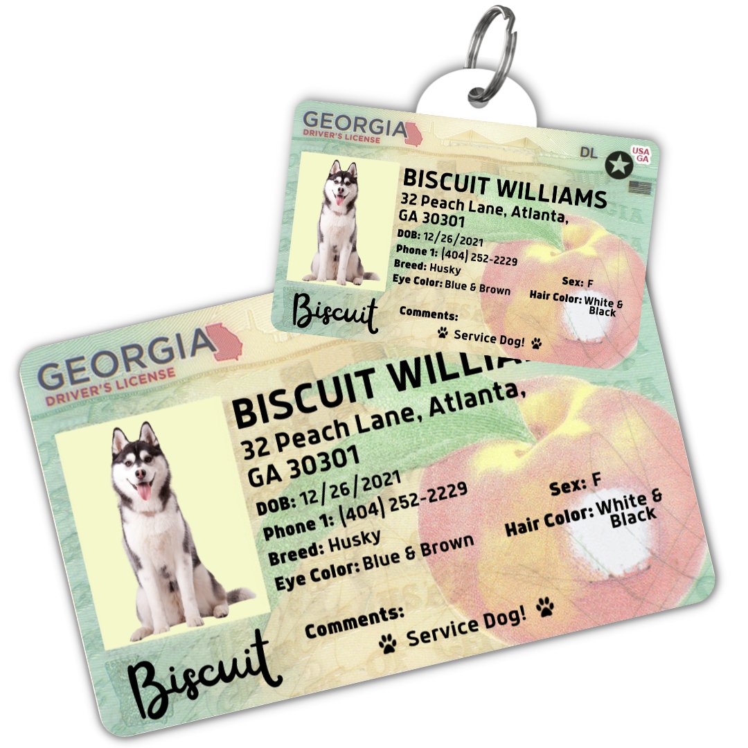 Georgia Dog License Tag – PawFurEver Custom Engraved Pet Tag
