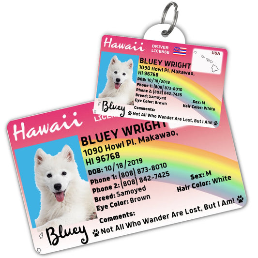 License Tag - License Tag (Hawaii)