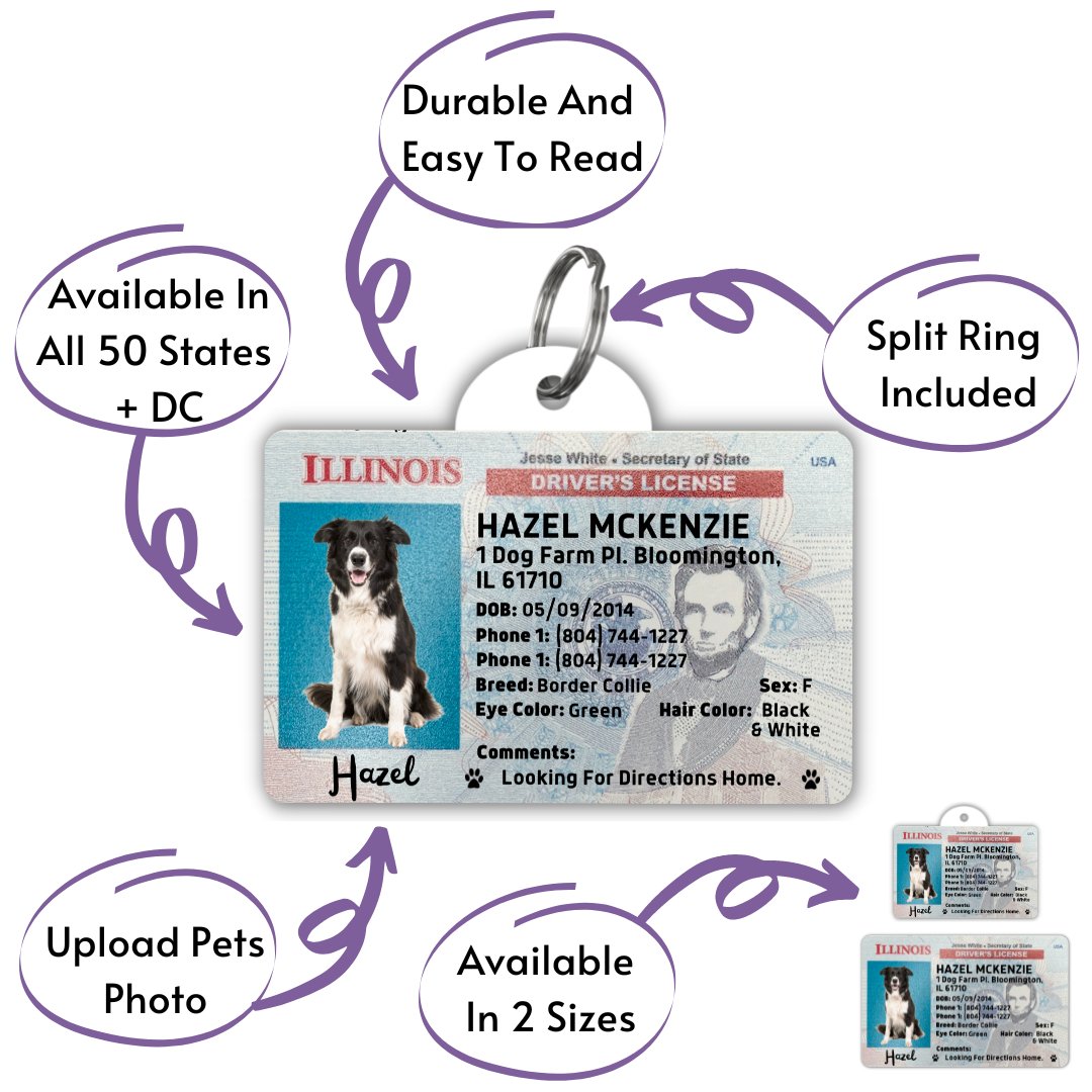 License Tag - License Tag (Illinois)
