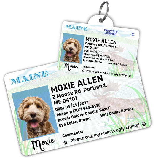 License Tag - License Tag (Maine)