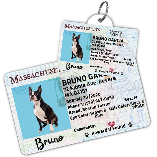 License Tag - License Tag (Massachusetts)