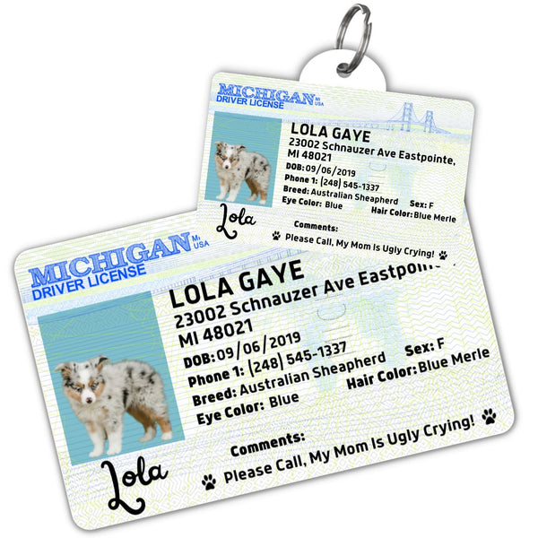 Dog drivers license tag online