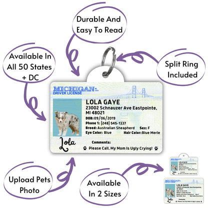License Tag - License Tag (Michigan)
