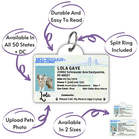 License Tag - License Tag (Michigan)