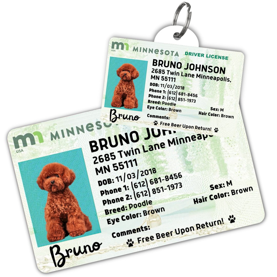 Minnesota Dog License Tag – PawFurEver Personalized Tag