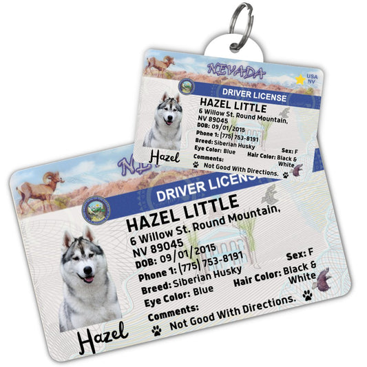 License Tag - License Tag (Nevada)
