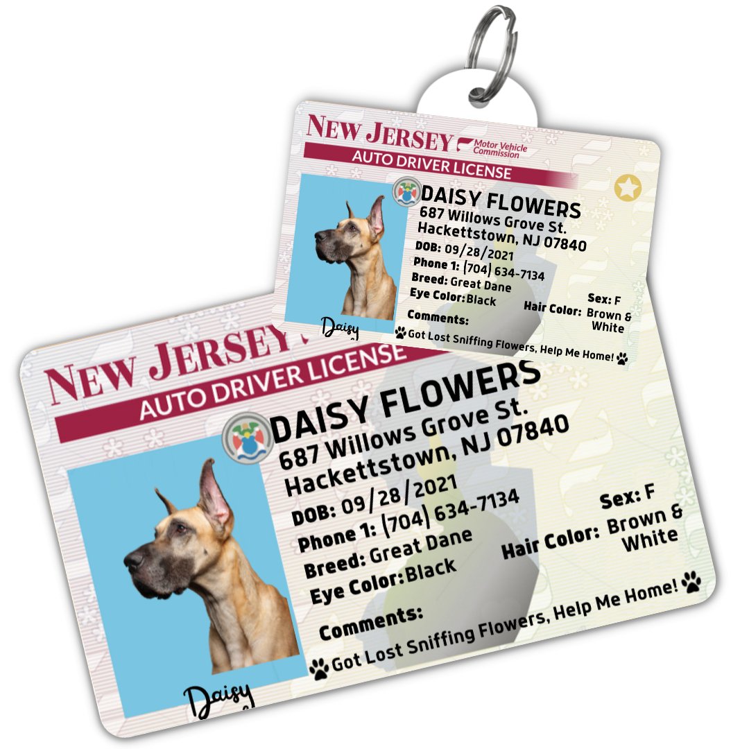 License Tag - License Tag (New Jersey)