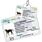 Ohio Driver License Dog Tag with Your Pet's Photo