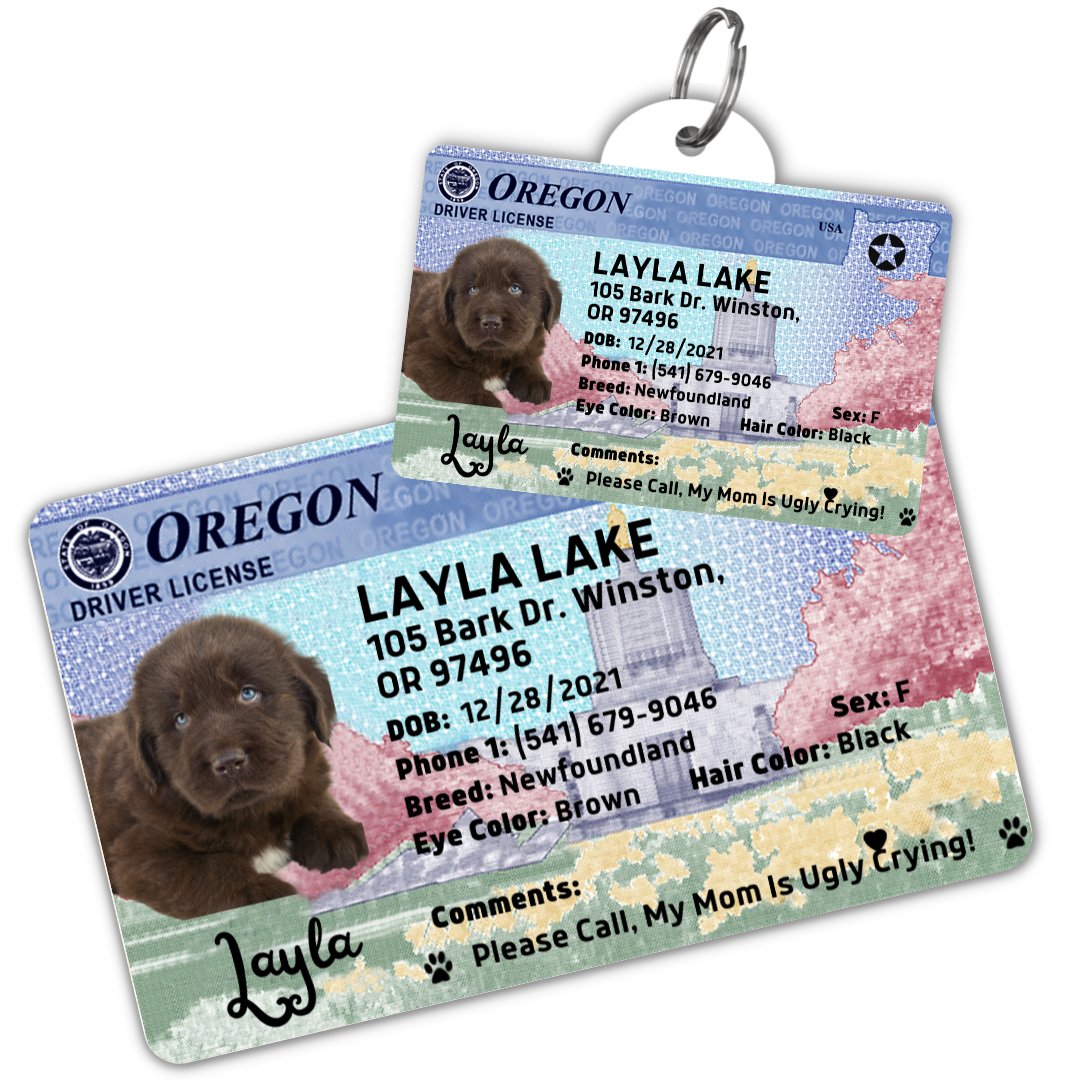 Oregon Dog License Tag – PawFurEver Durable Personalized Tag