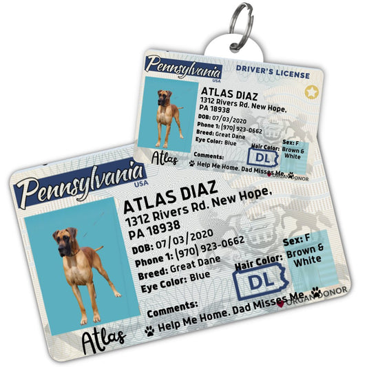 License Tag - License Tag (Pennsylvania)