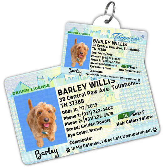 License Tag - License Tag (Tennessee)