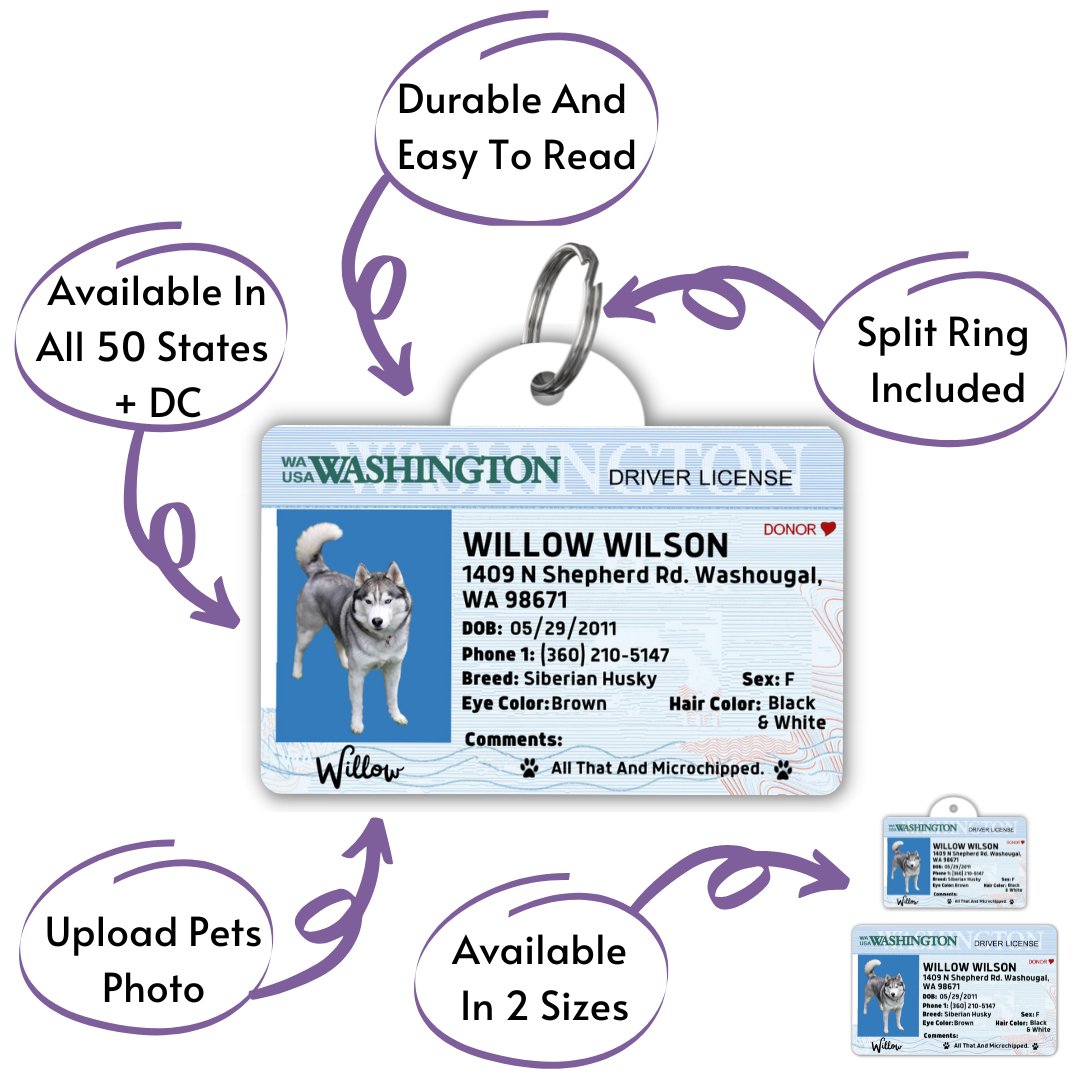 License Tag - License Tag (Washington)