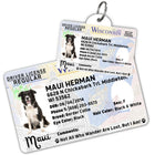 Wisconsin Driver License Dog Tag with Your Pet's Photo