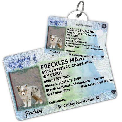 License Tag - License Tag (Wyoming)
