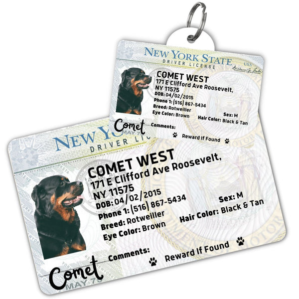 NYC Dog License Tag New York